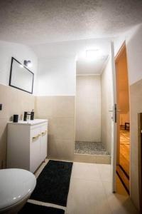 a bathroom with a toilet and a sink and a shower at Bara Apartment and Studio in Gheorgheni +19 photos