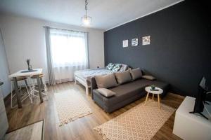 a living room with a couch and a bed at Bara Apartment and Studio in Gheorgheni