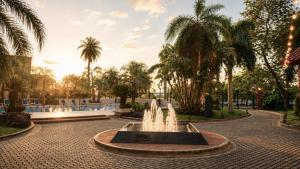 a fountain in a park with palm trees at Turismo Hotel Casino in Corrientes