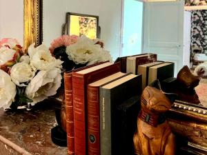 a pile of books sitting on a table next to a mirror at Chateau Mas Levrault in Saint-Priest-Taurion