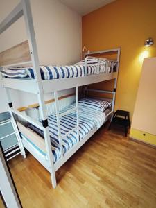 a couple of bunk beds in a room at Studio Celjeapp in Celje