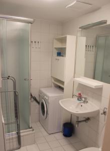ウィーンにある1,5 Zimmer-Apartment oder elegantes Home-officeのバスルーム(洗濯機、シンク付)