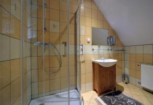 a bathroom with a shower and a sink at Sobiesz - Pokoje Gościnne in Jagniątków