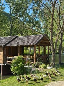 a group of ducks walking in front of a gazebo at Vacation Home Pliva in Šipovo +26 photos
