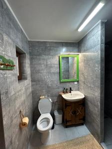 a bathroom with a toilet and a sink at Pensiunea Floare de Maramures in Vadu Izei +86 photos