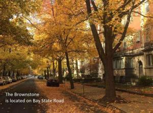 a tree lined street with fall leaves on the ground at Fenway Park Brownstone in Boston