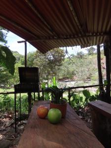 a table with apples and a potted plant on it at Tangara Real, Posada romántica entre bosque y rio in San Luis