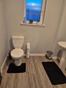 a bathroom with a toilet and a sink at Bellfield Views in Dundee +2 photos