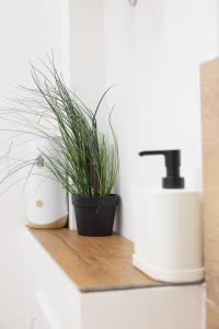a plant sitting on a counter next to a sink at Starview by MD apartments in Ljubljana