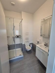 a bathroom with a toilet and a shower and a sink at Comfort Collection Waldviertel in Litschau +100 photos