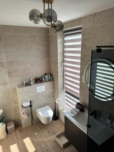 a bathroom with a toilet and a sink and a mirror at Paradise Relax in Zalău
