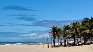a group of palm trees on a beach with the ocean at Atlas Beach Hotel in Fortaleza