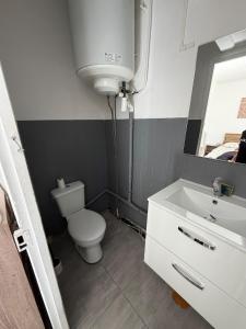 a bathroom with a toilet and a sink and a mirror at Le petit port de boucain in Port-de-Bouc +4 photos