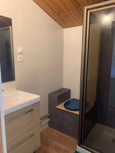 a bathroom with a shower and a sink and a mirror at Chalet bucolique in Saint-Étienne-de-Chigny