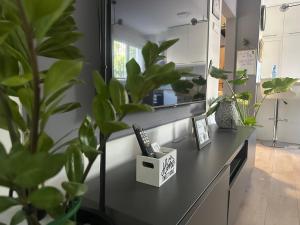 a desk with plants and a mirror in a room at Juga lux apartment in Fontana