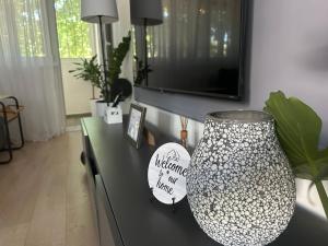 a living room with a television and a vase on a table at Juga lux apartment in Fontana
