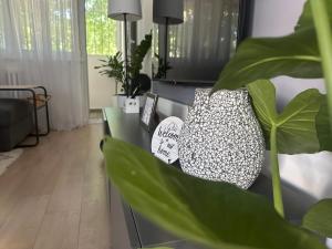 a living room with a couch and a plant at Juga lux apartment in Fontana +47 photos