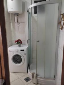 a washer and dryer in a small bathroom at Studio apartman Bari in Buzet