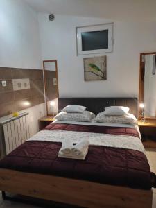 a bedroom with two beds and a tv on the wall at Studio apartman Bari in Buzet