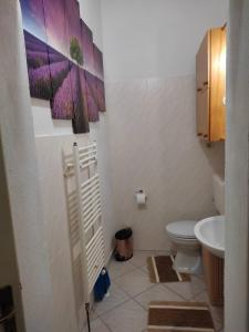 a bathroom with a toilet and a sink at Studio apartman Bari in Buzet +1 photo