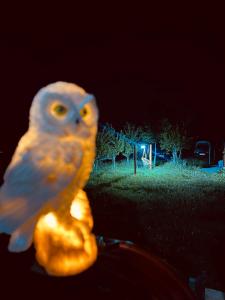 a small white bird is sitting on a object at Durmitor Hideaway in Žabljak