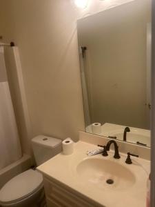 a bathroom with a sink and a toilet and a mirror at QueenRoom1 in Ellenwood