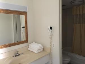 ダンビルにあるRed Carpet Inn & Suites - Danvilleの洗面台と鏡のあるバスルーム +45枚の写真