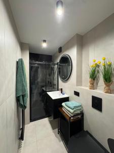 a bathroom with a shower and a sink at NOVA Apartament Podgórze in Wałbrzych