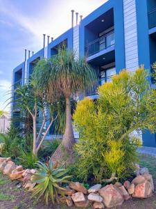a blue building with palm trees in front of it at Garden View Suite in Gqeberha +8 photos