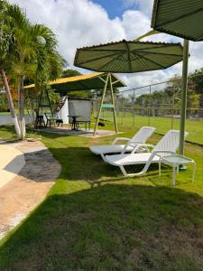 a group of chairs and umbrellas in a park at El Rincon De Lupe in San Carlos +9 photos