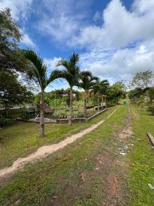 a dirt road with palm trees in a field at El Rincon De Lupe in San Carlos