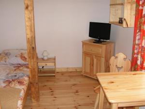 a bedroom with a bunk bed and a television at Świerkowa Chata in Szczyrk