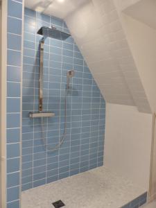 a shower in a bathroom with blue tiles at La Venise bleue in Colmar