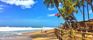 a beach with palm trees and the ocean at Pearl Resort in Arugam Bay