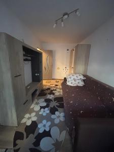Ein Zimmer mit Fernseher, Bett und Teppich in der Unterkunft MiMa Home in Roman + 2 Fotos