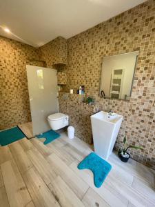 a bathroom with a toilet and a sink and a mirror at Tahiti Green Lodge in Punaauia +10 photos