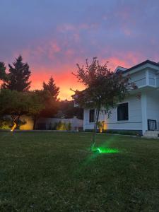 a green light in the grass in front of a house at minta suits in Kemer