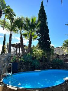 a swimming pool with palm trees and a stone wall at Casa Mora, privater pool, Meerblick, toller Garten in Torrox