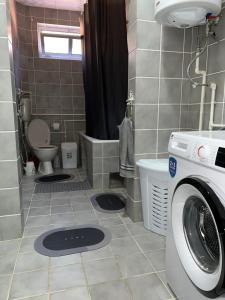 a bathroom with a washing machine and a toilet at Amos 1 in Paraćin