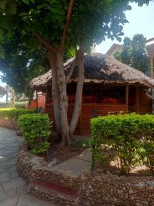 a hut with a tree in front of it at Pine Breeze Getaway Lukenya in Athi River