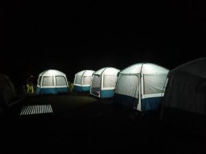 a row of four tents in the dark at Nomad's Nest Camp in Wāmpor