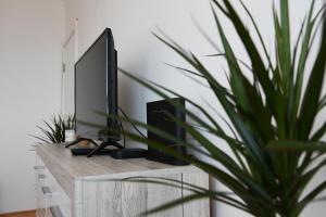 a television on a wooden stand with a potted plant at Lala in Herceg-Novi