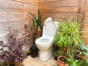 a bathroom with a toilet and a bunch of plants at Dôme en forêt in Saint-Just