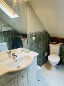 a bathroom with a sink and a toilet at Chalet individuel à Ustou 09 in Ustou +21 photos