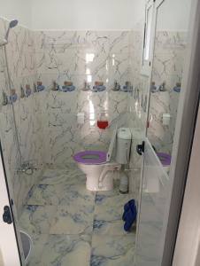 a bathroom with a toilet and a shower at Dar Salima in Chefchaouen