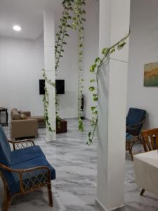 a lobby with a blue chair and plants at Riba Mar in Cidade Velha