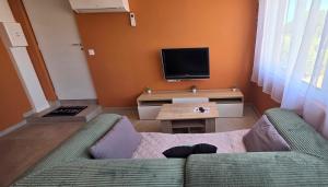 a living room with a couch and a tv at LE BARCARES Logement "Marenda" climatisé avec terrasse, plage à pied, place de parking - 4 personnes in Le Barcarès