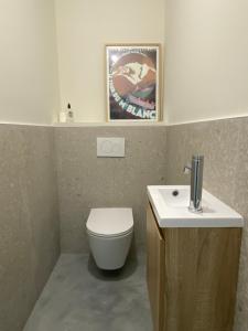 a bathroom with a toilet and a sink at Loft au château in Thonon-les-Bains +2 photos