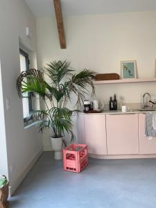 a kitchen with a potted plant and a pink crate at Loft au château in Thonon-les-Bains