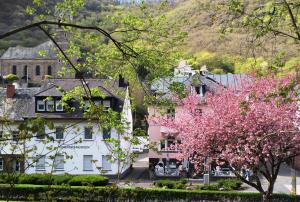 eine Gruppe von Häusern und ein Baum mit rosa Blumen in der Unterkunft Ferienwohnung Viktoria in Bad Bertrich